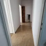 Lägenhet Niedzialkowski Centrum *